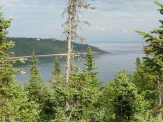 tadoussac 050.jpg